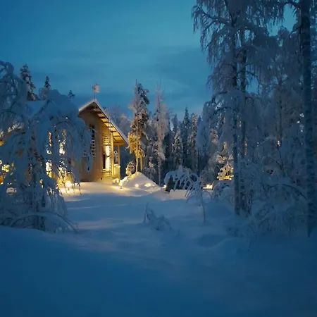 Taalonpesae Modern In Chalet